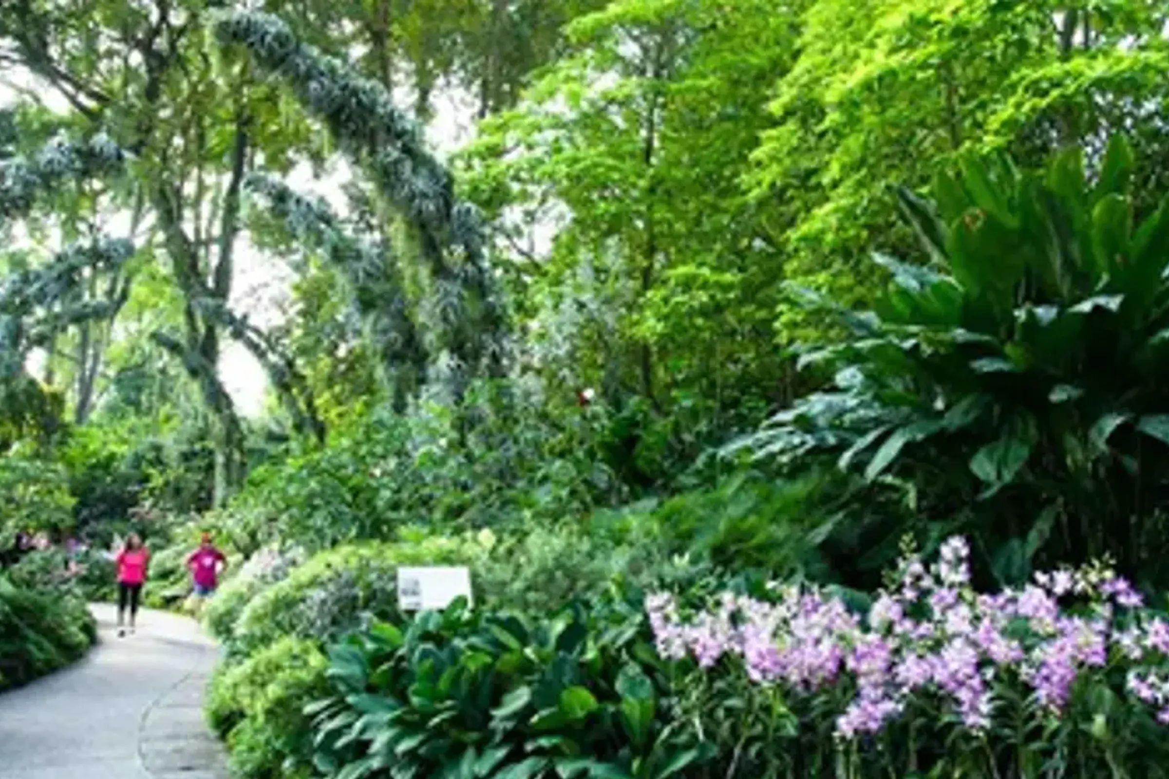 National Orchid Garden Admission Ticket — photo 2
